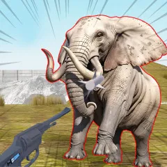 Zoo Anomaly Simulation