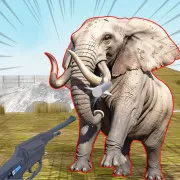 Zoo Anomaly Simulation